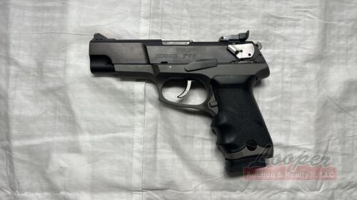 Ruger P90 .45 ACP