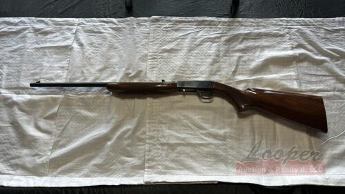 Browning .22 Long Rifle