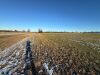 ~7.85 Acres of Pasture Land - 3